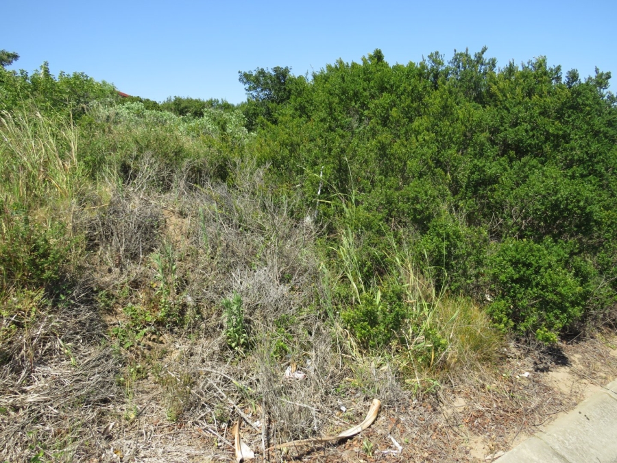 0 Bedroom Property for Sale in West Bank Eastern Cape